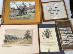 Framed cigarette cards, framed salmon flies, prints, watercolours, etc.