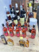 Selection of wines, small whisky's, etc.