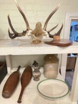 Shield mounted antlers, ethnic paddle, stoneware bottle, Studio Pottery puzzle jug,