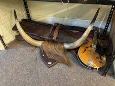 Collection of various gun cases, Highland Cattle shield mounted horns, mandolin, various pictures,