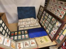 Collection of cigarette cards in frames and albums.