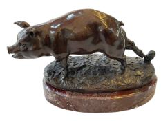 Bronze tethered pig on marble base, 29cm across.