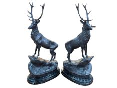 Pair of impressive large bronze models of stags on rocky outcrops mounted on marble plinths, 75cm.