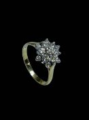 Diamond thirteen stone cluster and 18 carat gold ring, size Q.