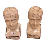 Two phrenology heads.