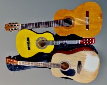 A Rikter acoustic guitar in carry bag together with two further acoustic guitars.