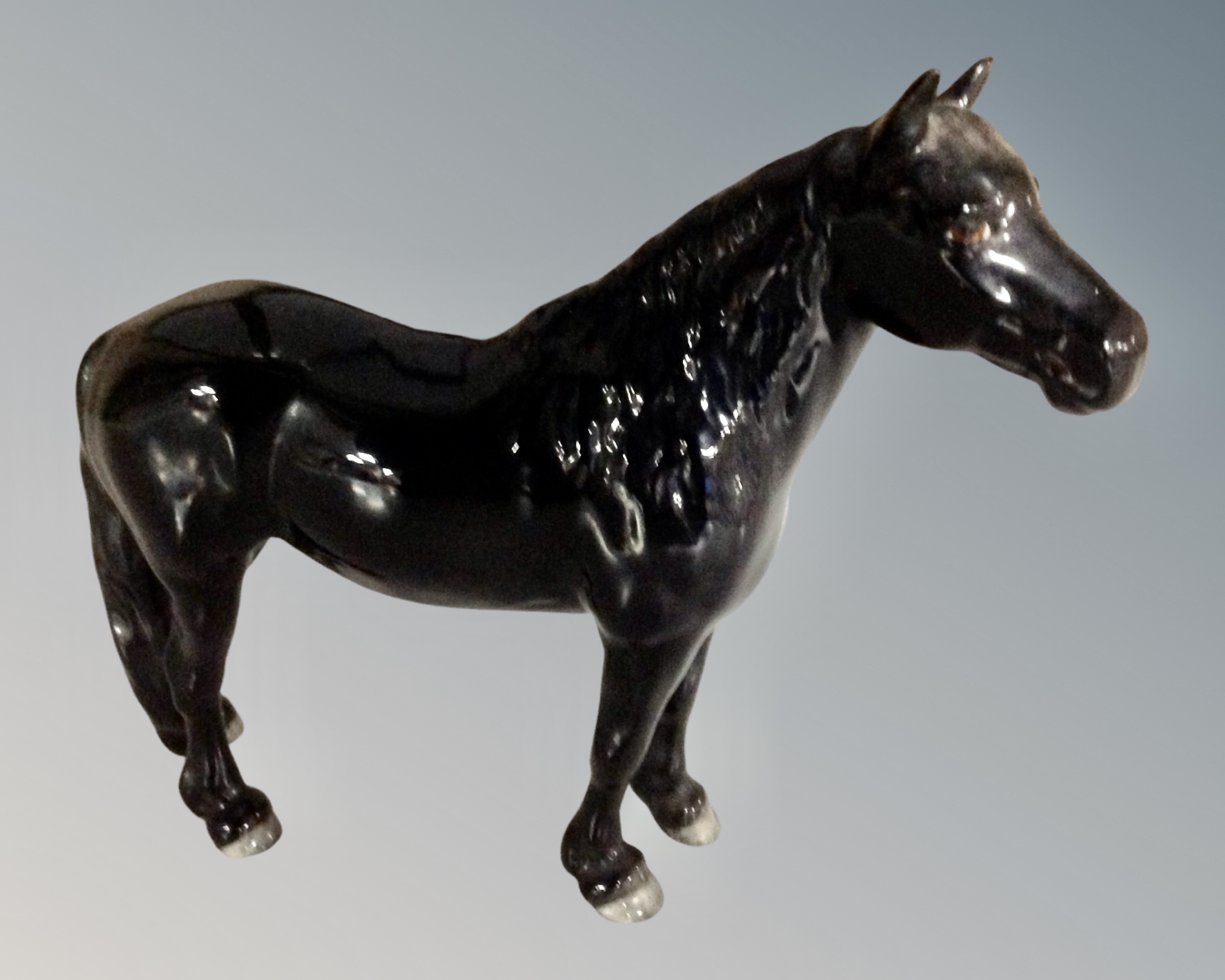 A Beswick black Fell pony 1647.