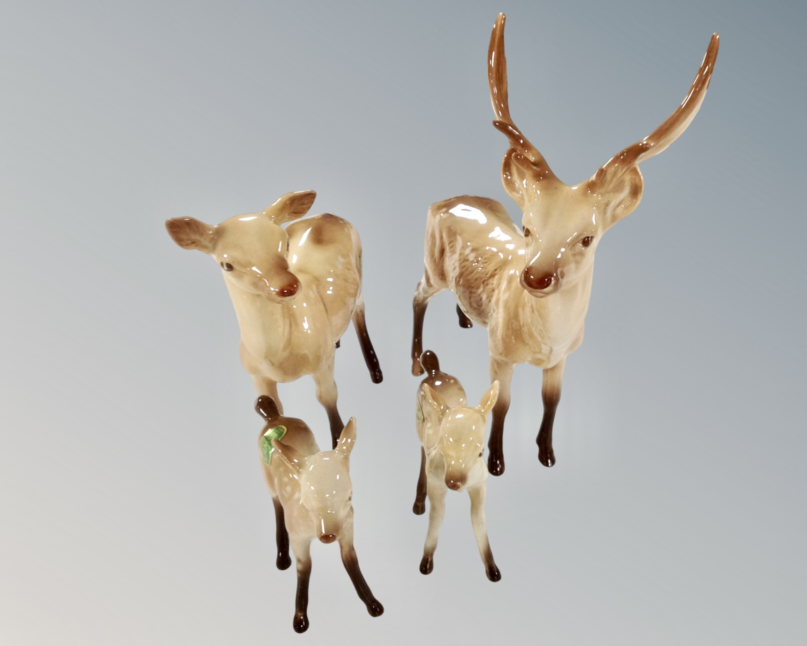 Four Beswick figures; stag, doe and two foals.