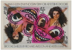 Richard Avedon and Keith Haring - Brooke Shields exhibition poster, 24x36 inches/91.