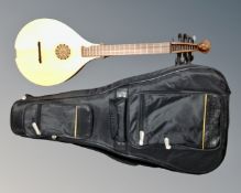 A contemporary mandolin in soft carry bag.