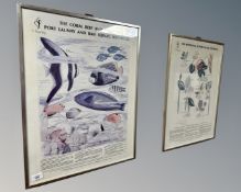 Two educational posters depicting the mangroves, coral reef and fish of the Seychelles,