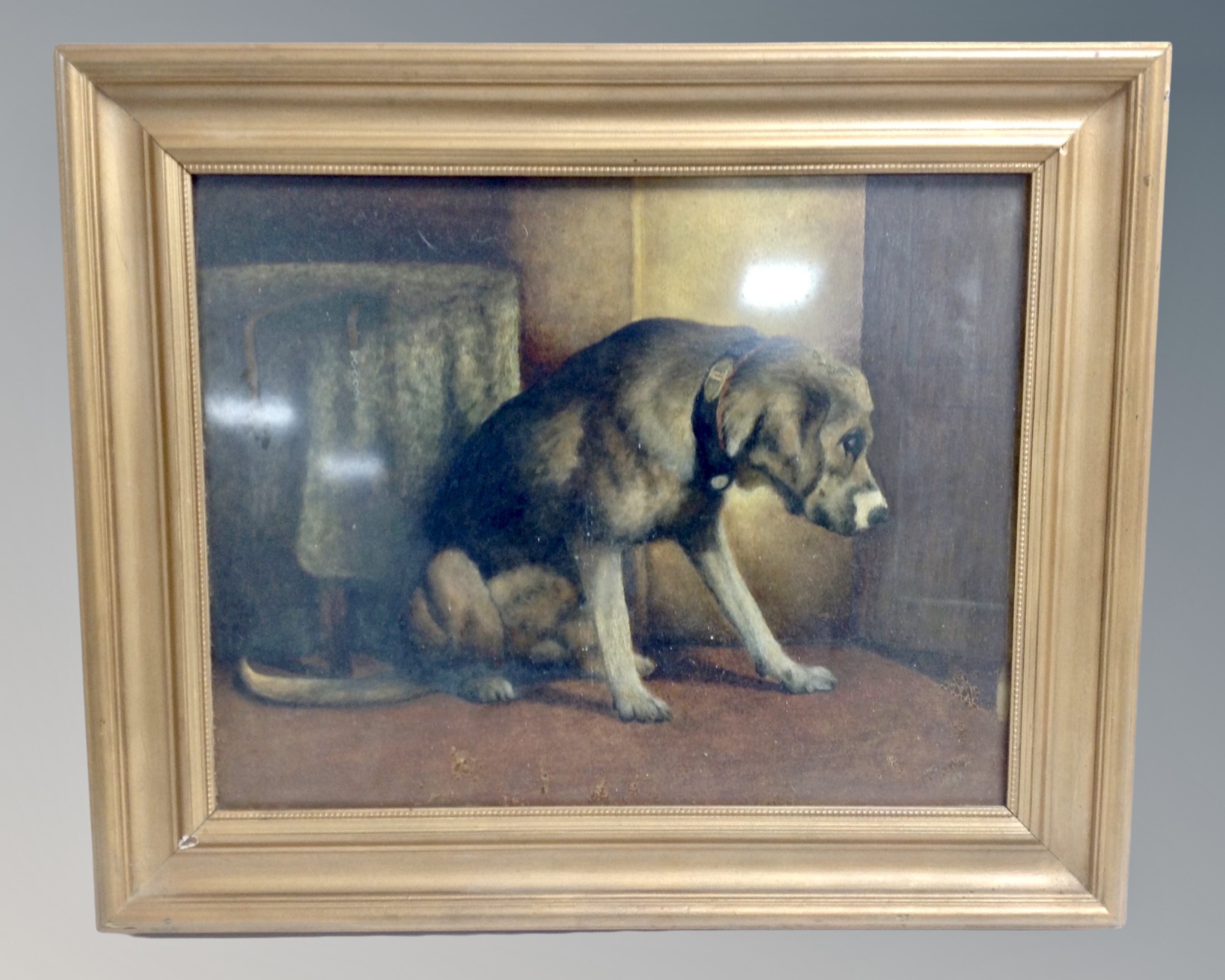 Twentieth century School : Study of a seated dog, oil on board, 45 cm x 35 cm.