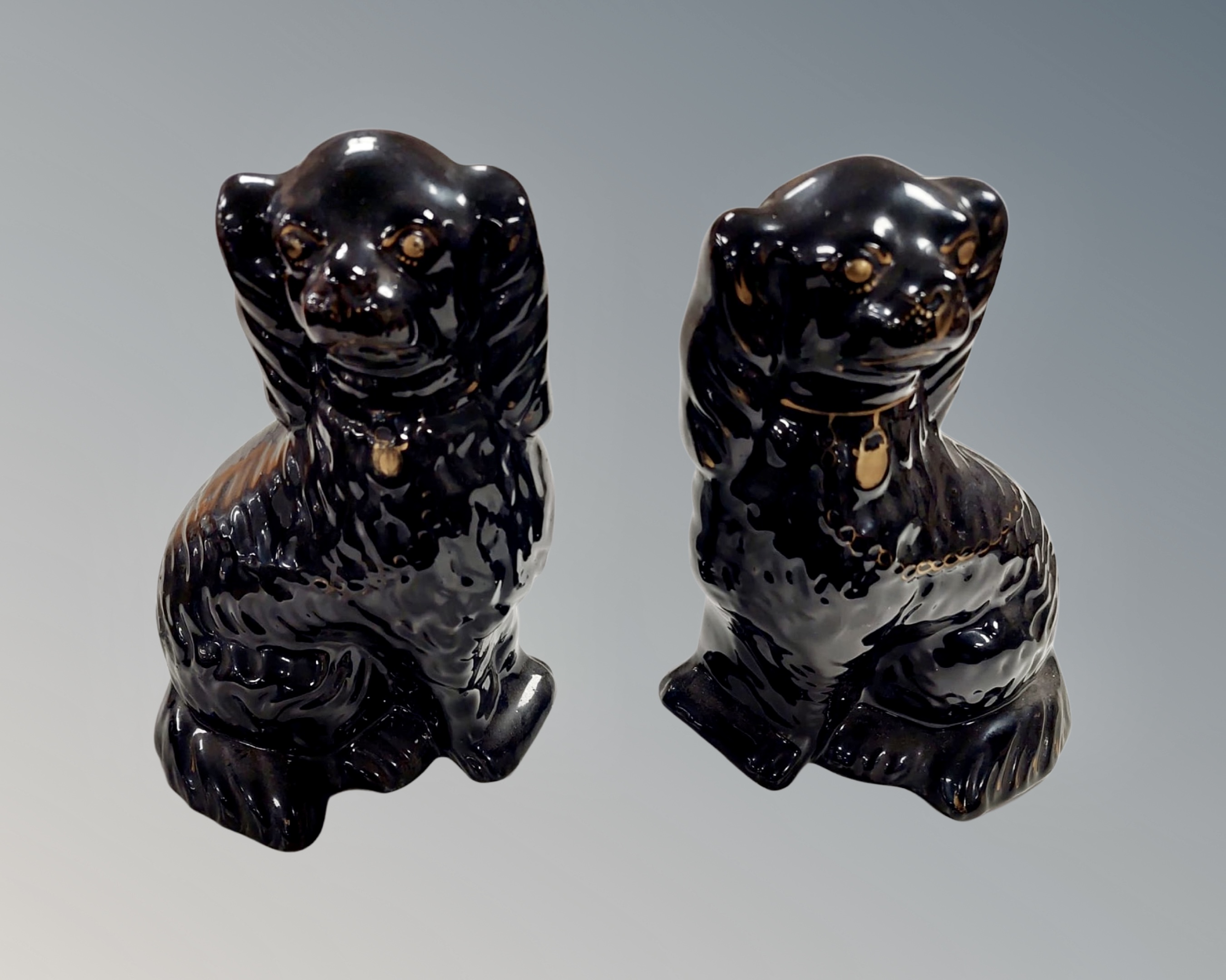 A pair of black glazed Staffordshire dogs.