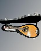 A bowl back mandolin.