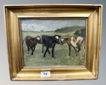 Continental School : Calves in a field, oil on board, 25cm by 19cm.