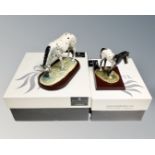 Two boxed Royal Doulton Animals figures comprising Appaloosa and Appaloosa Foal.