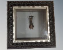 A taxidermy bat in glazed display, measuring 35cm by 35cm.
