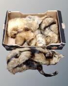 A box of fox fur stoles and wraps.