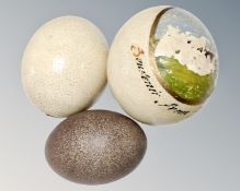 Three ostrich eggs, one painted.