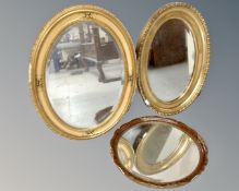 Three gilt framed oval mirrors.