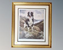 A John Trickett signed limited edition print of a sheep dog,