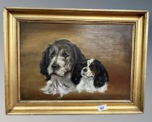 20th century school : portrait study of two dogs, oil on board,
