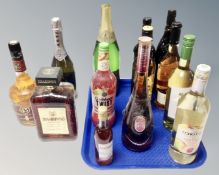 A collection of alcohol to include Martini Asti, wine,