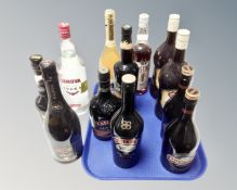 A collection of alcohol to include Bailey's, Martini,