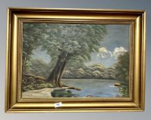 Continental school : a tree by a lake, oil on canvas,