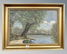 Continental school : a tree by a lake, oil on canvas,