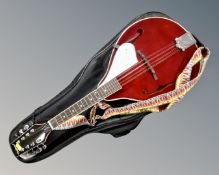 A Union series by Tanglewood TWM WR 8-string mandolin in gig bag