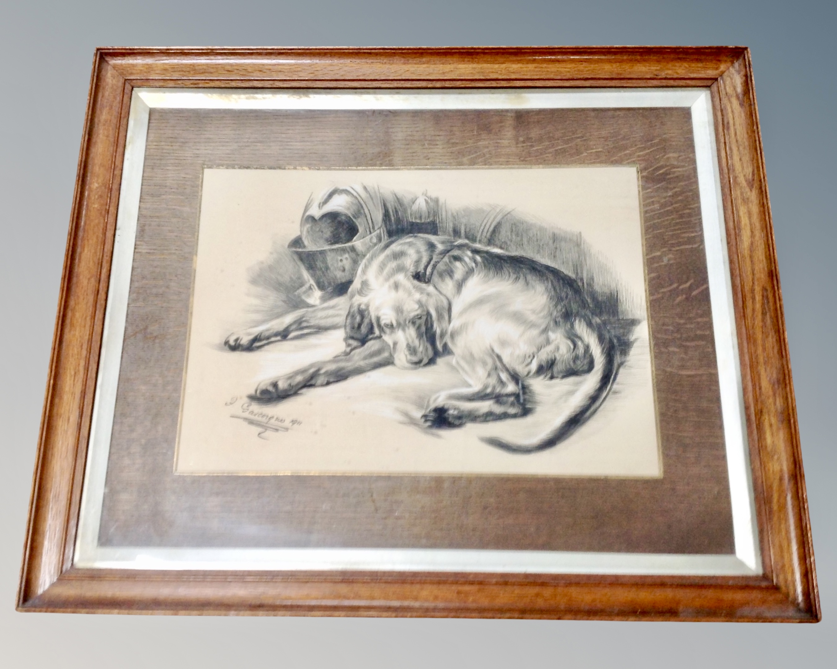 Gascoigne : Sleeping dog, pastel and pencil drawing, dated 1911, in frame and mount.