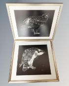 Two prints after D. Horne : Osprey and Golden Eagle, framed.