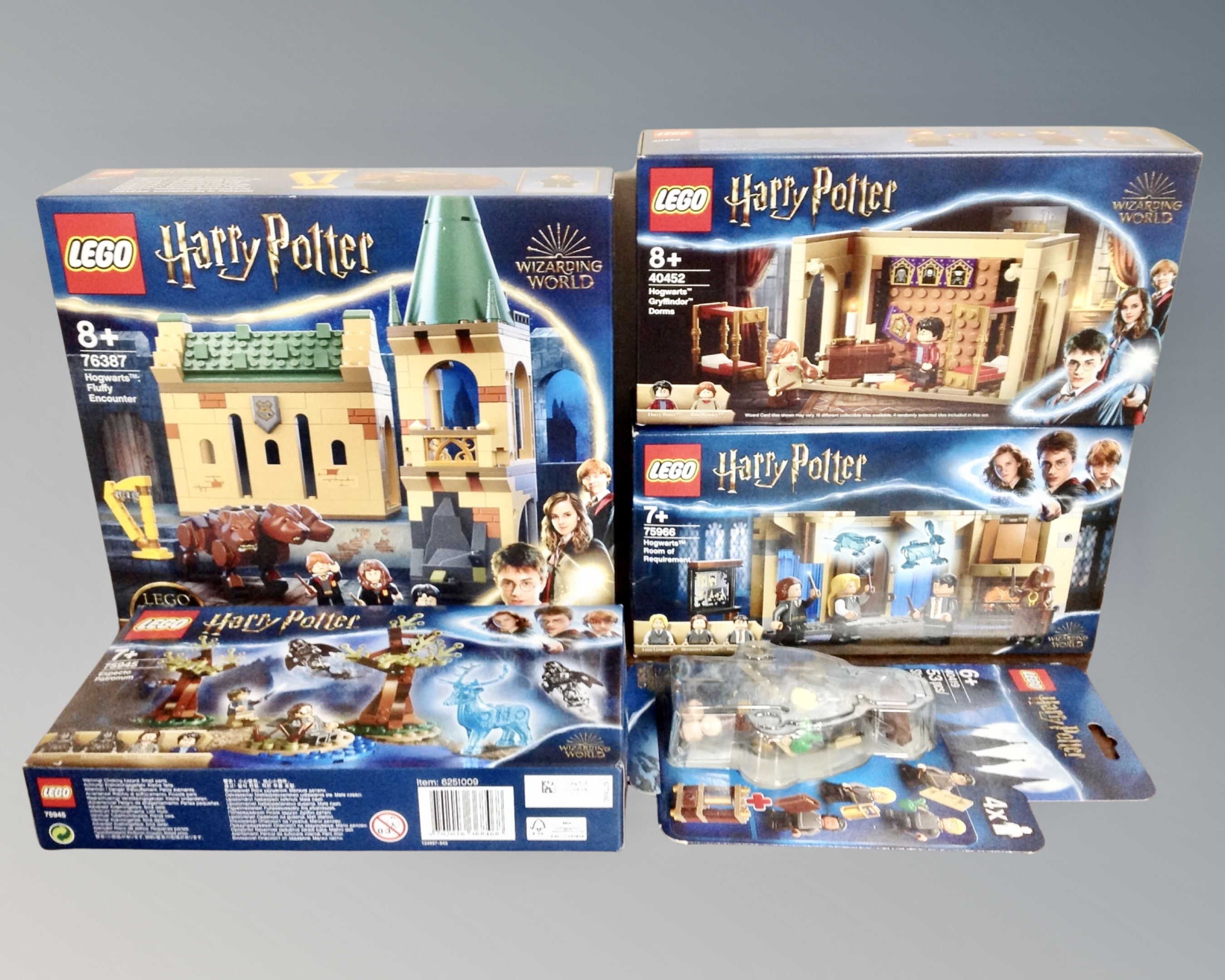 Lego : Five Harry Potter sets : 76387 Howarts Fluffy Encounter, 75966 Hogwarts Room of Requirement,