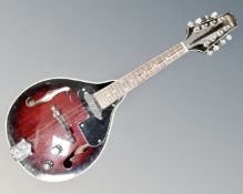 A Stagg eight string mandolin