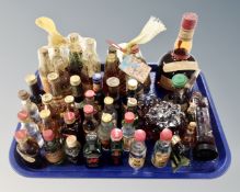 A tray containing a quantity of alcohol miniatures including liqueurs,
