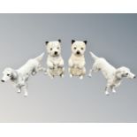 A pair of Coalport terriers and one further pair of dogs.