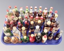 A tray containing a quantity of alcohol miniatures including gin and rum.