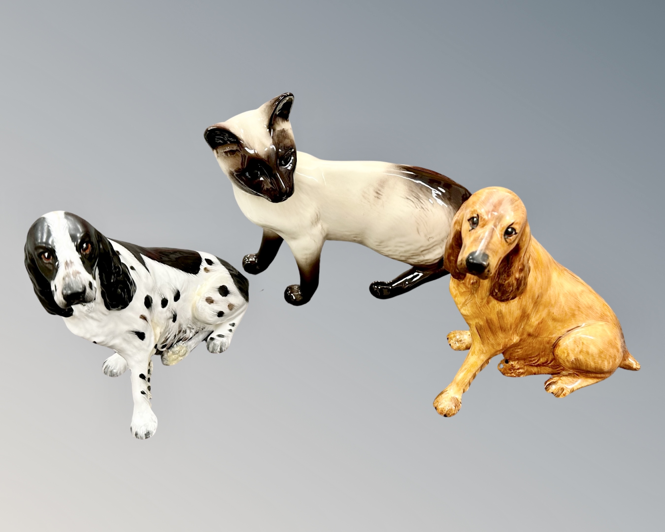 A Beswick Siamese cat and two Coalport dogs.