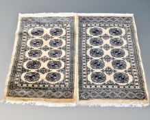 A pair Lahore Bokhara rugs, Pakistan, on coffee ground, 101cm by 65cm.