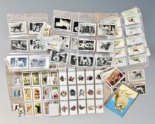A tray of cigarette cards, postcards, dogs and aviation,
