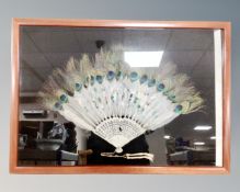 A hand painted peacock feather fan in display frame