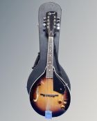 An Ozark electric 8-string mandolin in carry case