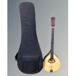 An Ozark 8-string bouzouki in carry case