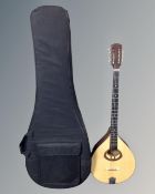 An Ozark 8-string bouzouki in carry case