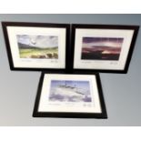 Thhree Mosquito colour prints in frames and mounts