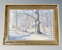 Oil on canvas - Woodland, 42 cm x 29 cm, indistinctly signed.