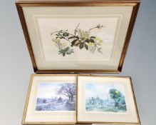 An Elspeth Harrigan watercolour together with two further prints, all framed.