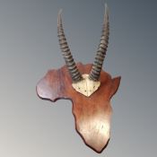 A pair of antelope horns mounted on a shield in the shape of Africa.