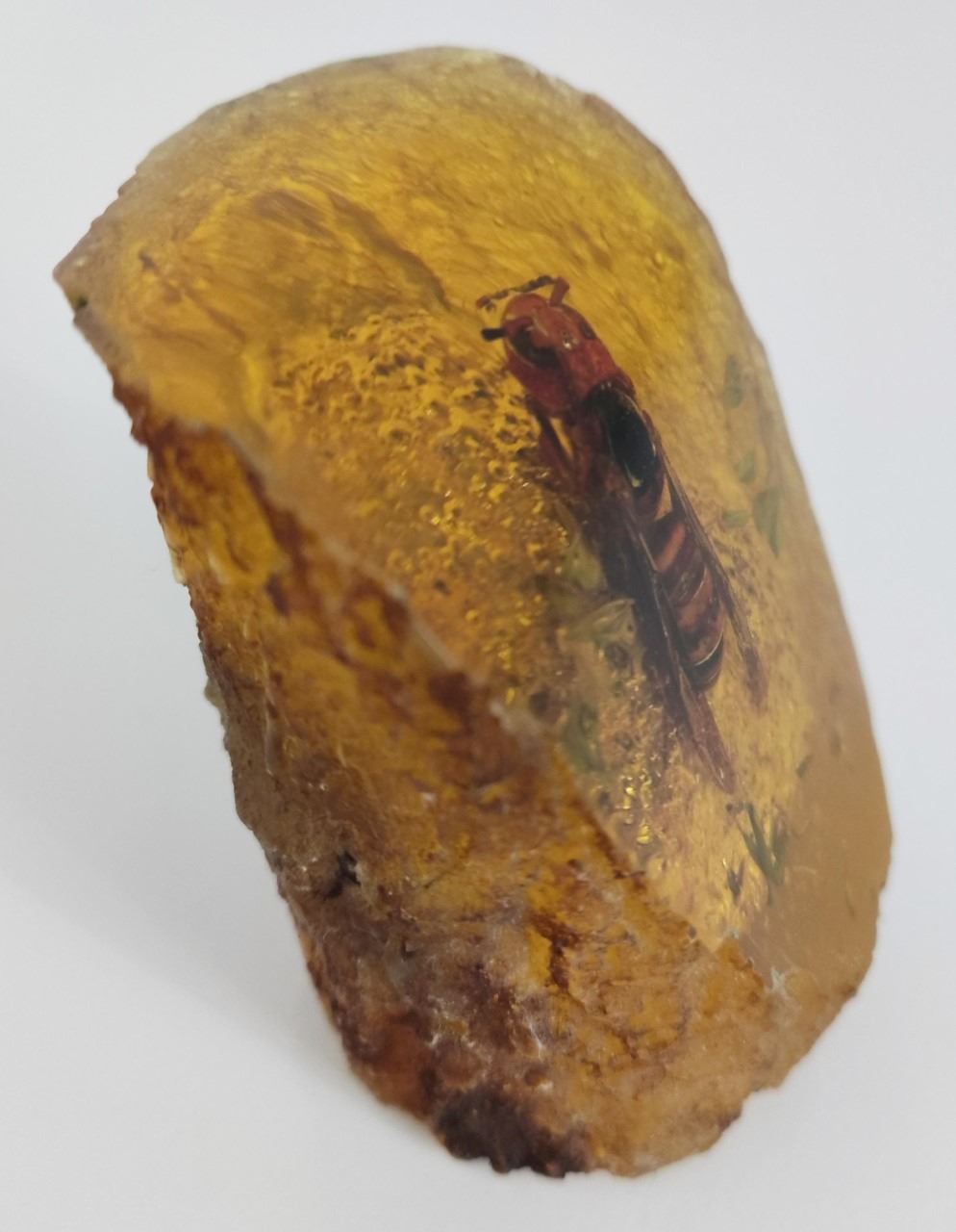 A hornet in resin block. - Image 2 of 3